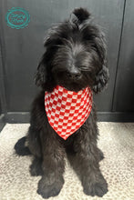 Load image into Gallery viewer, Smaller Checkered wild rags in several colors for kids or pets! - Mavictoria Designs Hot Press Express