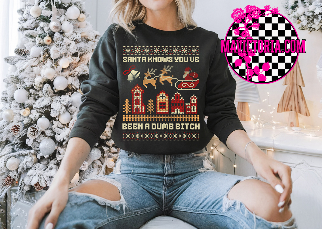 Santa knows you’ve been a dumb bitch on black graphic tee, long sleeve, crewneck sweatshirt, or hoodie
