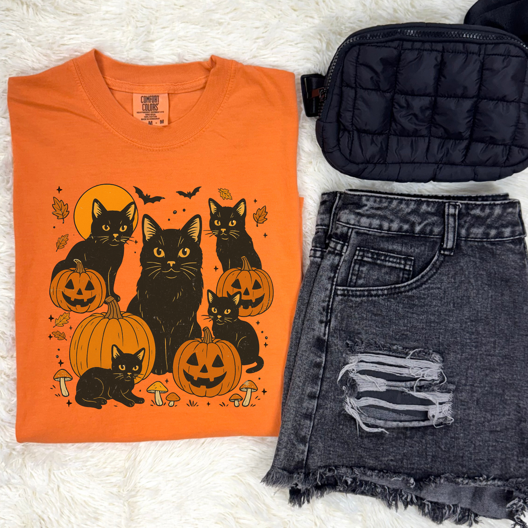 Jack O' Kitty Graphic Tee & Sweatshirt - Mavictoria Designs Hot Press Express