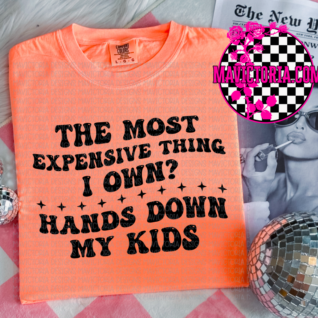 The most expensive thing I own? Hands down my kids on comfort colors graphic tee (you pick color)