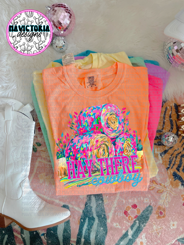 HAY THERE COWBOY western graphic tee (choose your color) - Mavictoria Designs Hot Press Express