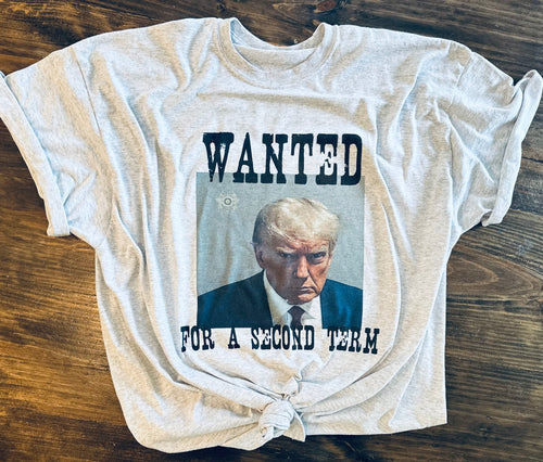 Wanted for a second term Trump mug shot funny graphic tee or sweatshirt - Mavictoria Designs Hot Press Express