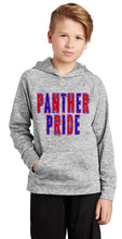 Load image into Gallery viewer, Panther Pride, Sport-tek Silver Electric Hoodie - Mavictoria Designs Hot Press Express
