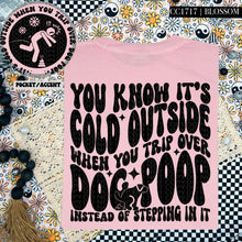 Load image into Gallery viewer, You Know It&#39;s Cold Outside When You Trip Over Dog Poop | Comfort Colors Tee - Mavictoria Designs Hot Press Express
