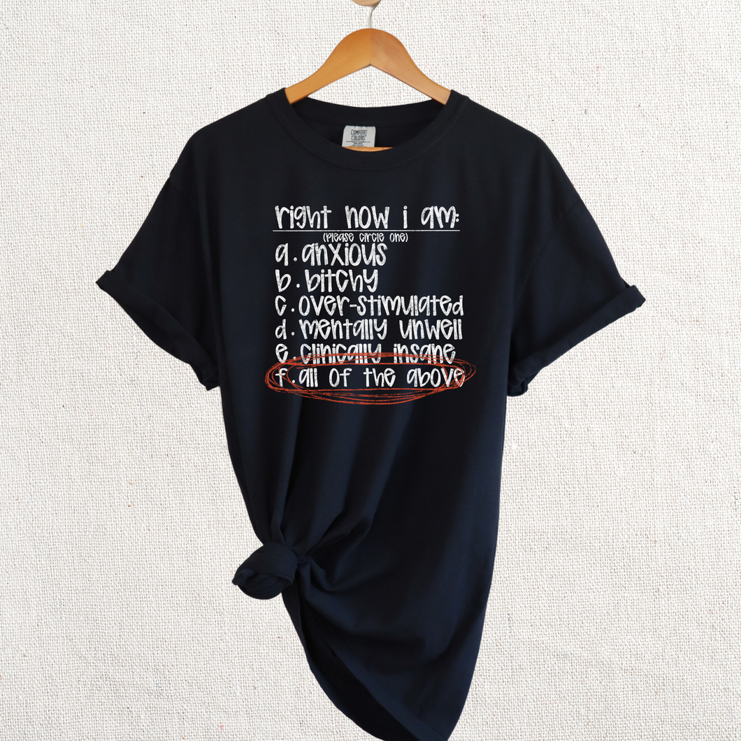 All the Above Graphic Tee - Mavictoria Designs Hot Press Express