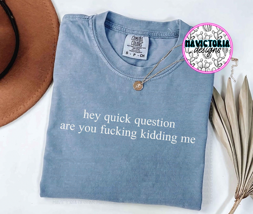 HEY QUICK QUESTION are you fucking kidding me on denim comfort colors graphic tee - Mavictoria Designs Hot Press Express