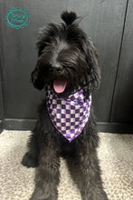 Load image into Gallery viewer, Smaller Checkered wild rags in several colors for kids or pets! - Mavictoria Designs Hot Press Express
