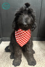 Load image into Gallery viewer, Smaller Checkered wild rags in several colors for kids or pets! - Mavictoria Designs Hot Press Express
