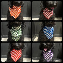 Load image into Gallery viewer, Smaller Checkered wild rags in several colors for kids or pets! - Mavictoria Designs Hot Press Express
