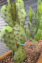 Load image into Gallery viewer, Vaquera Necklace - Mavictoria Designs Hot Press Express
