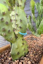 Load image into Gallery viewer, Vaquera Necklace - Mavictoria Designs Hot Press Express
