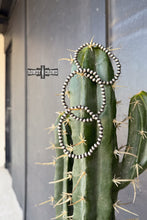 Load image into Gallery viewer, Rancho Pearl Bracelets - Mavictoria Designs Hot Press Express
