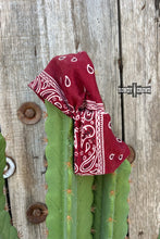 Load image into Gallery viewer, Bandit Bandana Headbands - Mavictoria Designs Hot Press Express
